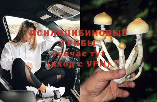 гидропоника Касимов