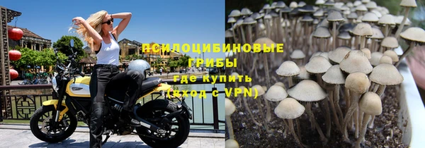 apvp Киреевск